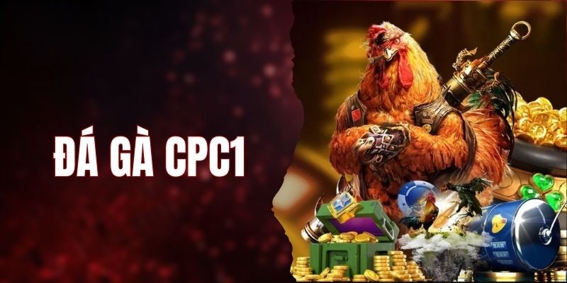 Giải đáp một số câu hỏi phổ biến về đá gà CPC1