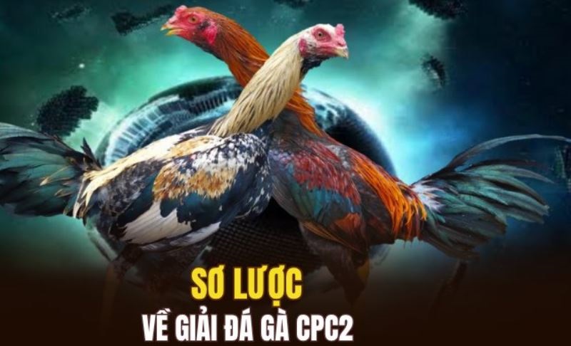 Đôi nét thông tin về đá gà CPC2